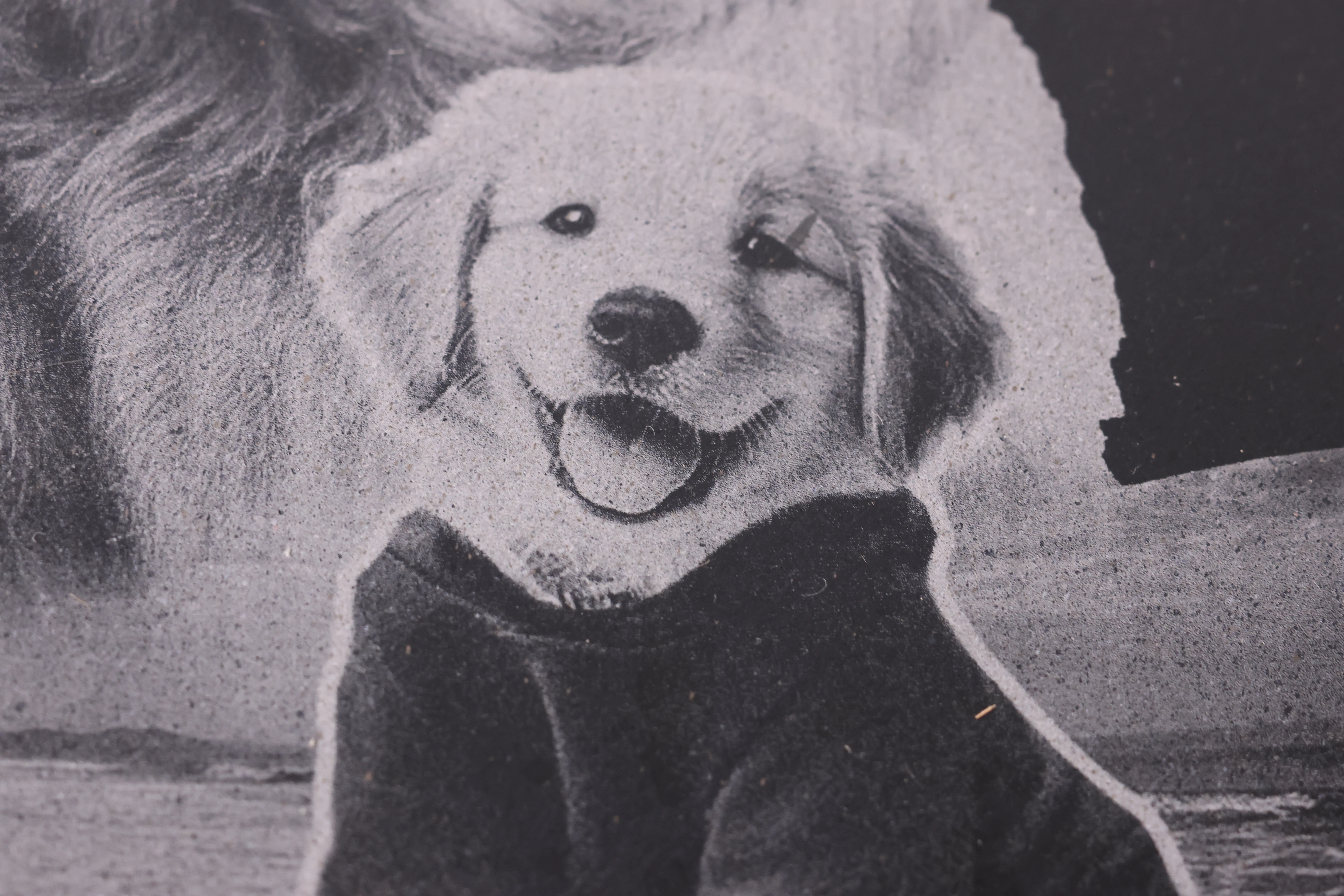 大きなデタルと大理石にレーザー刻印犬画像 大きなデタルと大理石にレーザー刻印犬画像